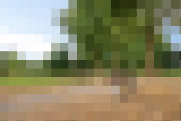 Florencelaan 51 Eindhoven thumbnail 38