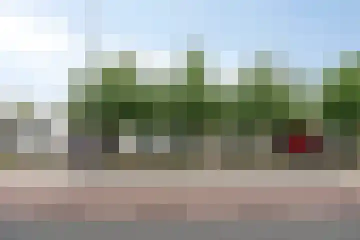 Florencelaan 51 Eindhoven thumbnail 6