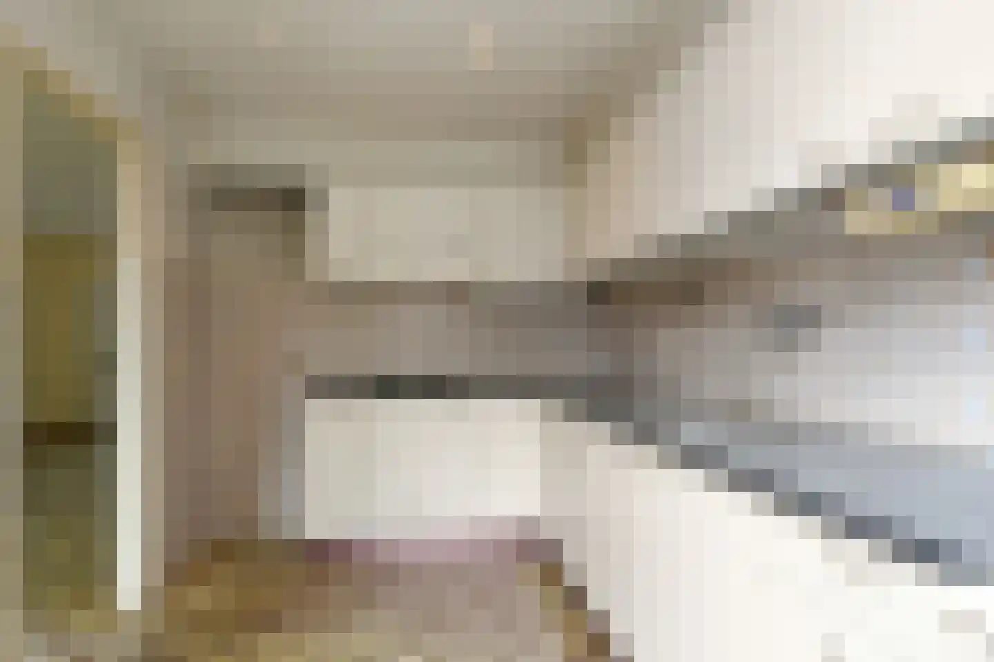 Florencelaan 64 Eindhoven thumbnail 17
