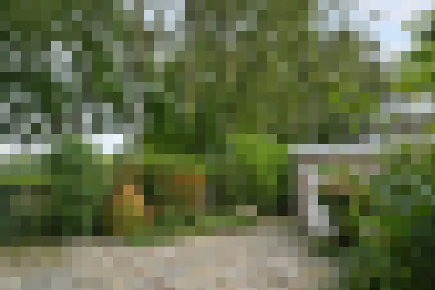 Florencelaan 64 Eindhoven thumbnail 34
