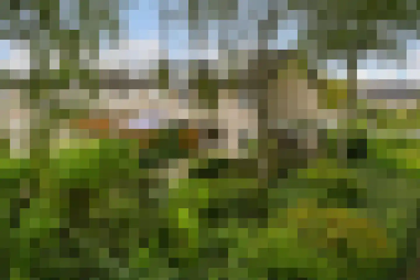 Florencelaan 64 Eindhoven thumbnail 36