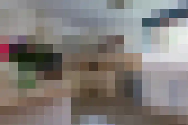 Florentius Schaepdreef 10 Sittard thumbnail 11