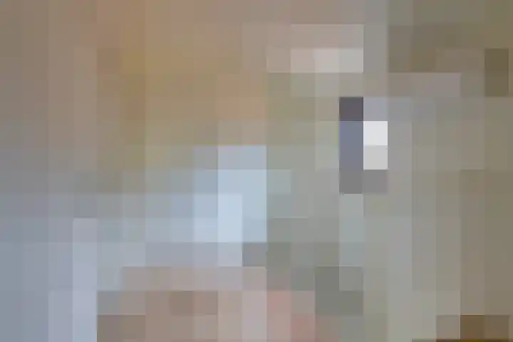 Florentius Schaepdreef 10 Sittard thumbnail 27