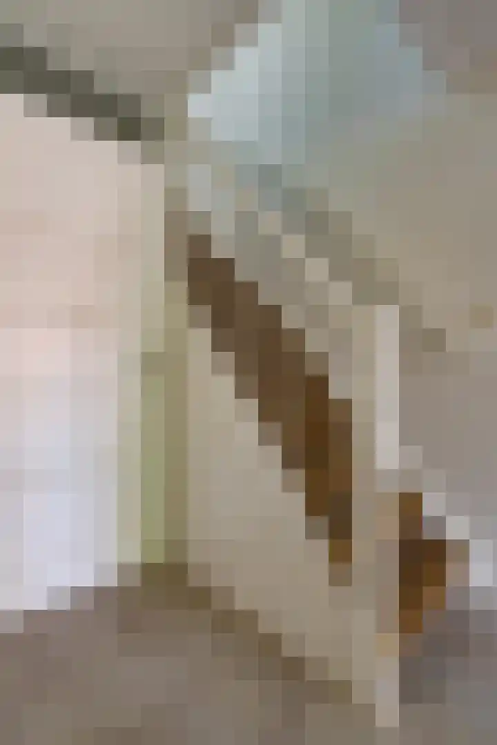 Florentius Schaepdreef 10 Sittard thumbnail 7