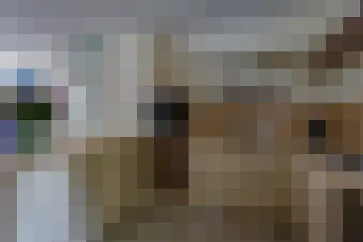 Florentius Schaepdreef 10 Sittard thumbnail 9