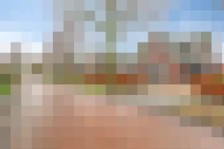 Florentiusdreef 11 Aarle-Rixtel thumbnail 10
