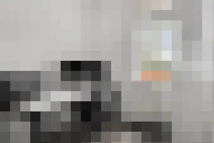 Florentiusdreef 11 Aarle-Rixtel thumbnail 16