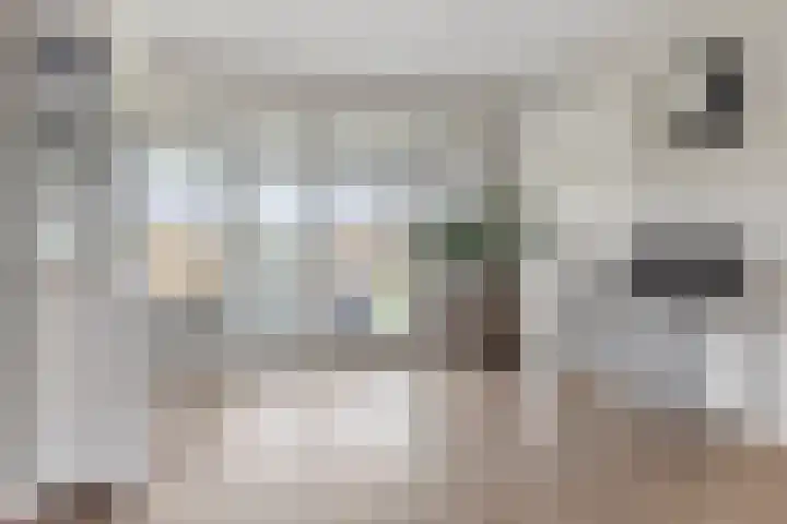 Florentiusdreef 11 Aarle-Rixtel thumbnail 19