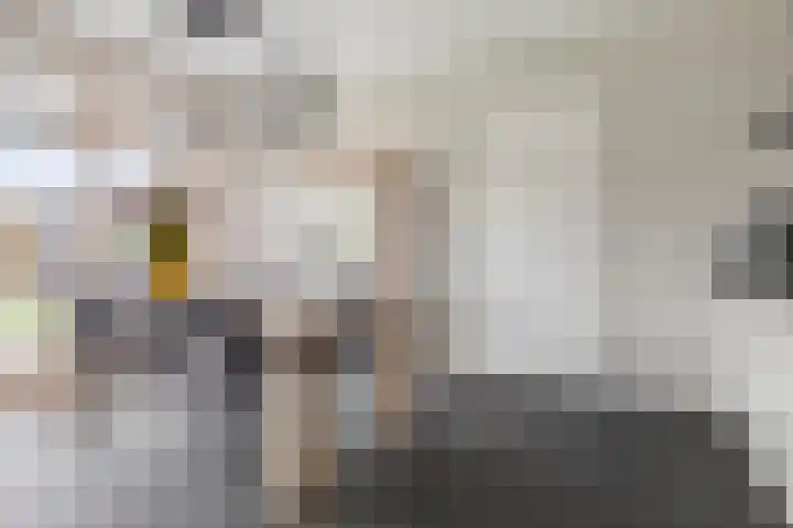 Florentiusdreef 11 Aarle-Rixtel thumbnail 22