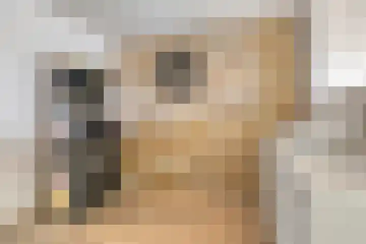 Florentiusdreef 11 Aarle-Rixtel thumbnail 24