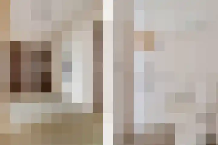 Florentiusdreef 11 Aarle-Rixtel thumbnail 33