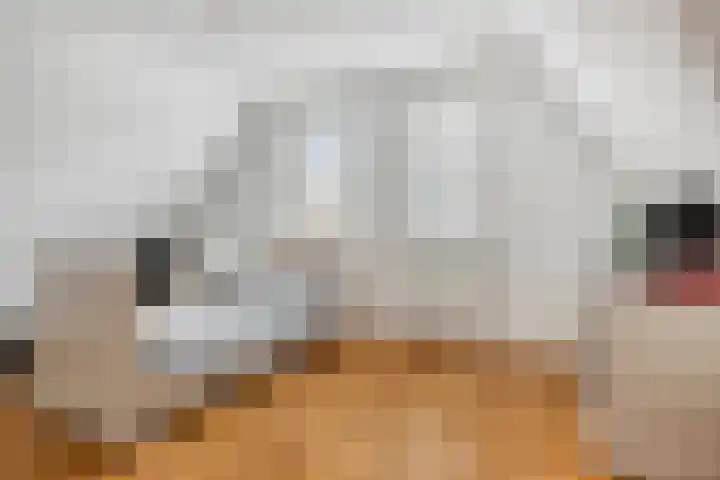 Florentiusdreef 11 Aarle-Rixtel thumbnail 33