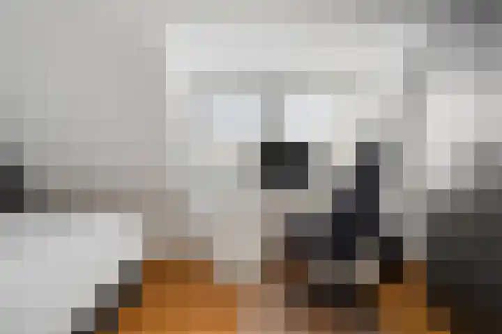 Florentiusdreef 11 Aarle-Rixtel thumbnail 35