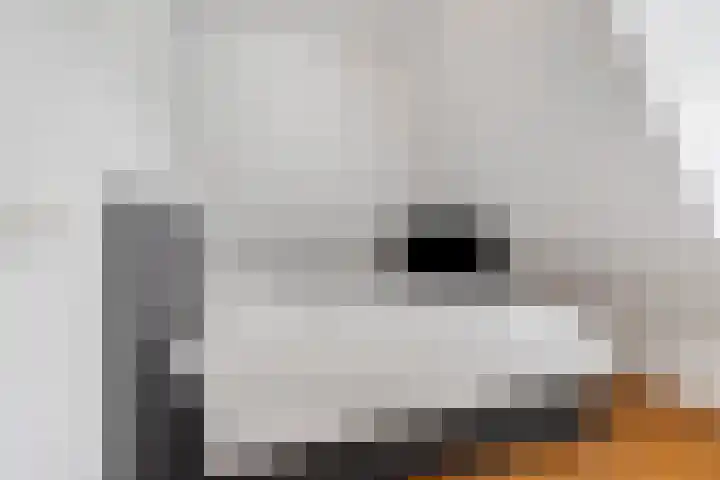 Florentiusdreef 11 Aarle-Rixtel thumbnail 36