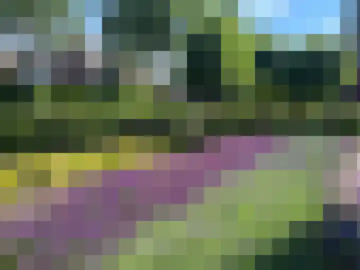 Florentiusdreef 11 Aarle-Rixtel thumbnail 45