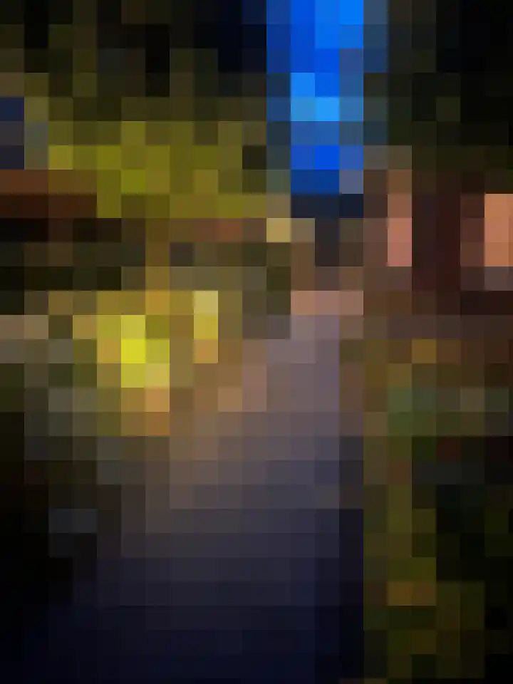 Florentiusdreef 11 Aarle-Rixtel thumbnail 47