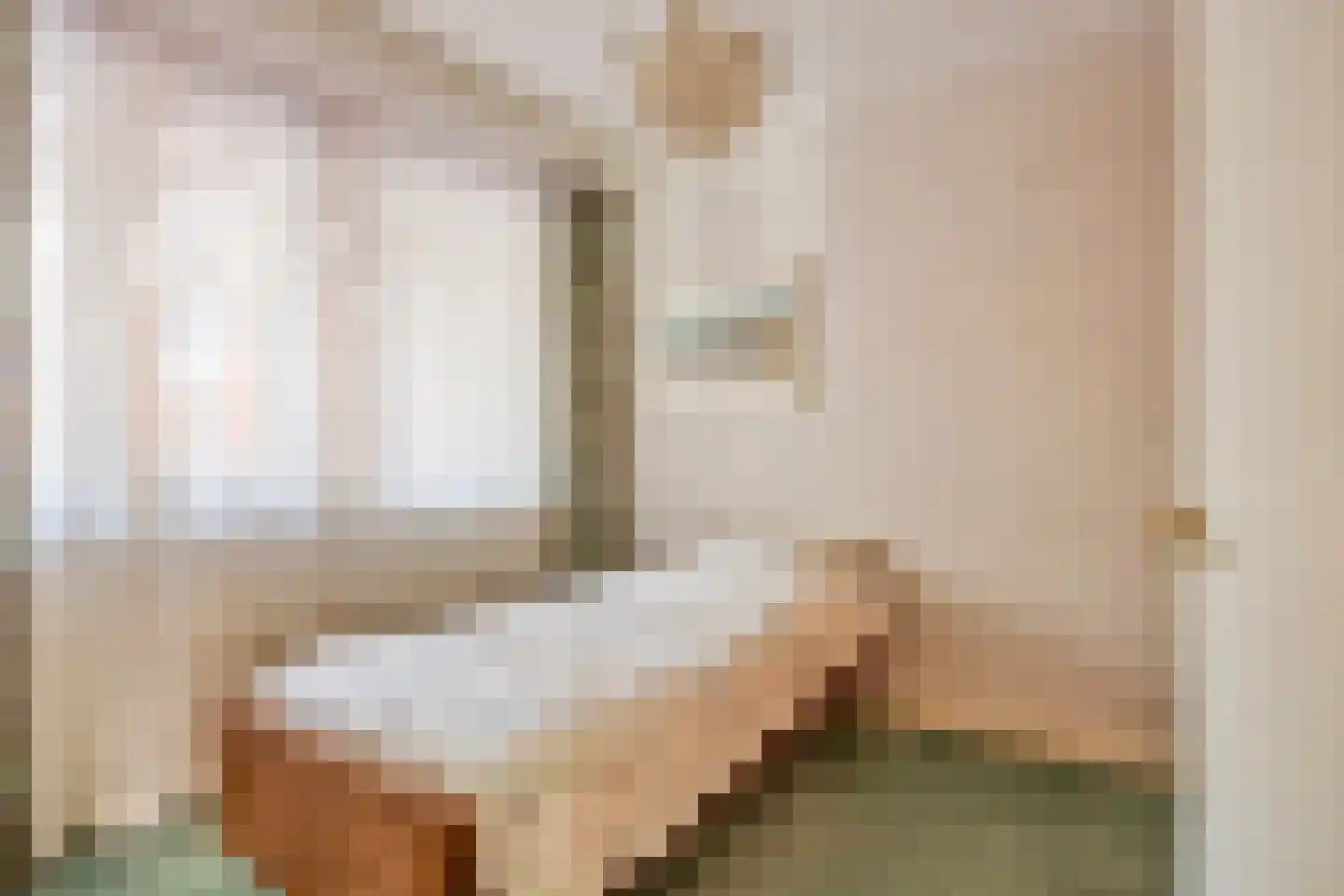 Florentiusdreef 11 Aarle-Rixtel thumbnail 52