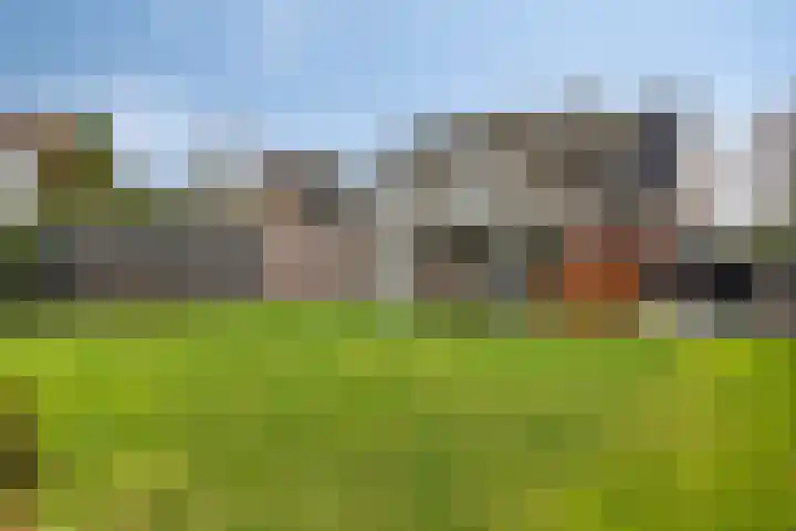 Florentiusdreef 11 Aarle-Rixtel thumbnail 6