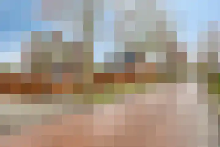 Florentiusdreef 11 Aarle-Rixtel thumbnail 9