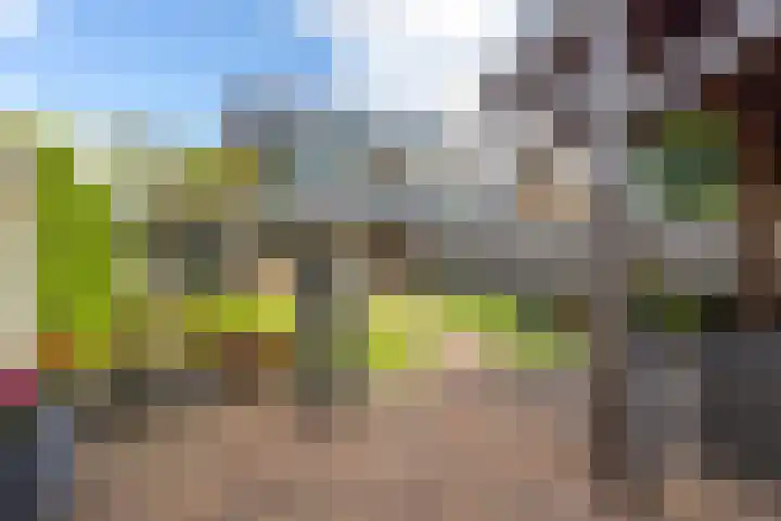 Florenweer 14 Hardinxveld-Giessendam thumbnail 23