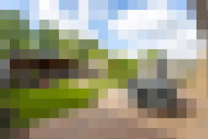 Florenweer 14 Hardinxveld-Giessendam thumbnail 25