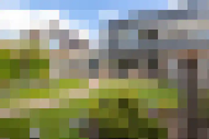 Florenweer 14 Hardinxveld-Giessendam thumbnail 27