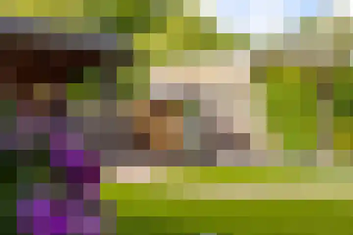 Florenweer 14 Hardinxveld-Giessendam thumbnail 28