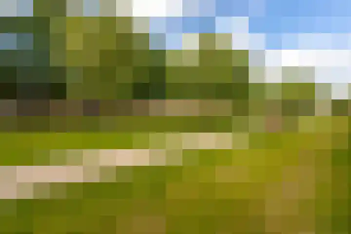 Florenweer 14 Hardinxveld-Giessendam thumbnail 29