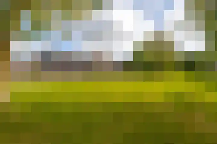 Florenweer 14 Hardinxveld-Giessendam thumbnail 30
