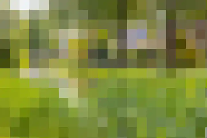 Florenweer 14 Hardinxveld-Giessendam thumbnail 31