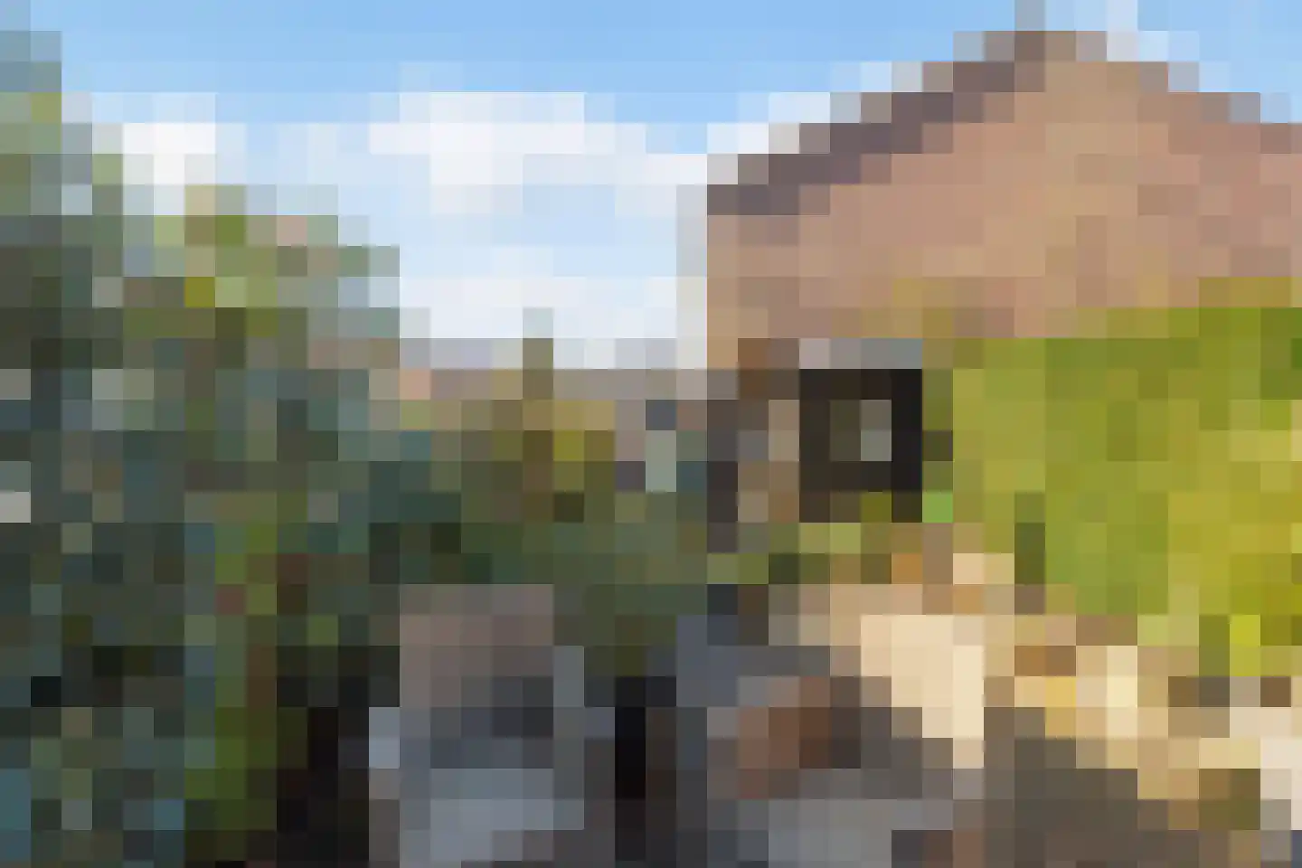 Florenweer 5 Hardinxveld-Giessendam thumbnail 30