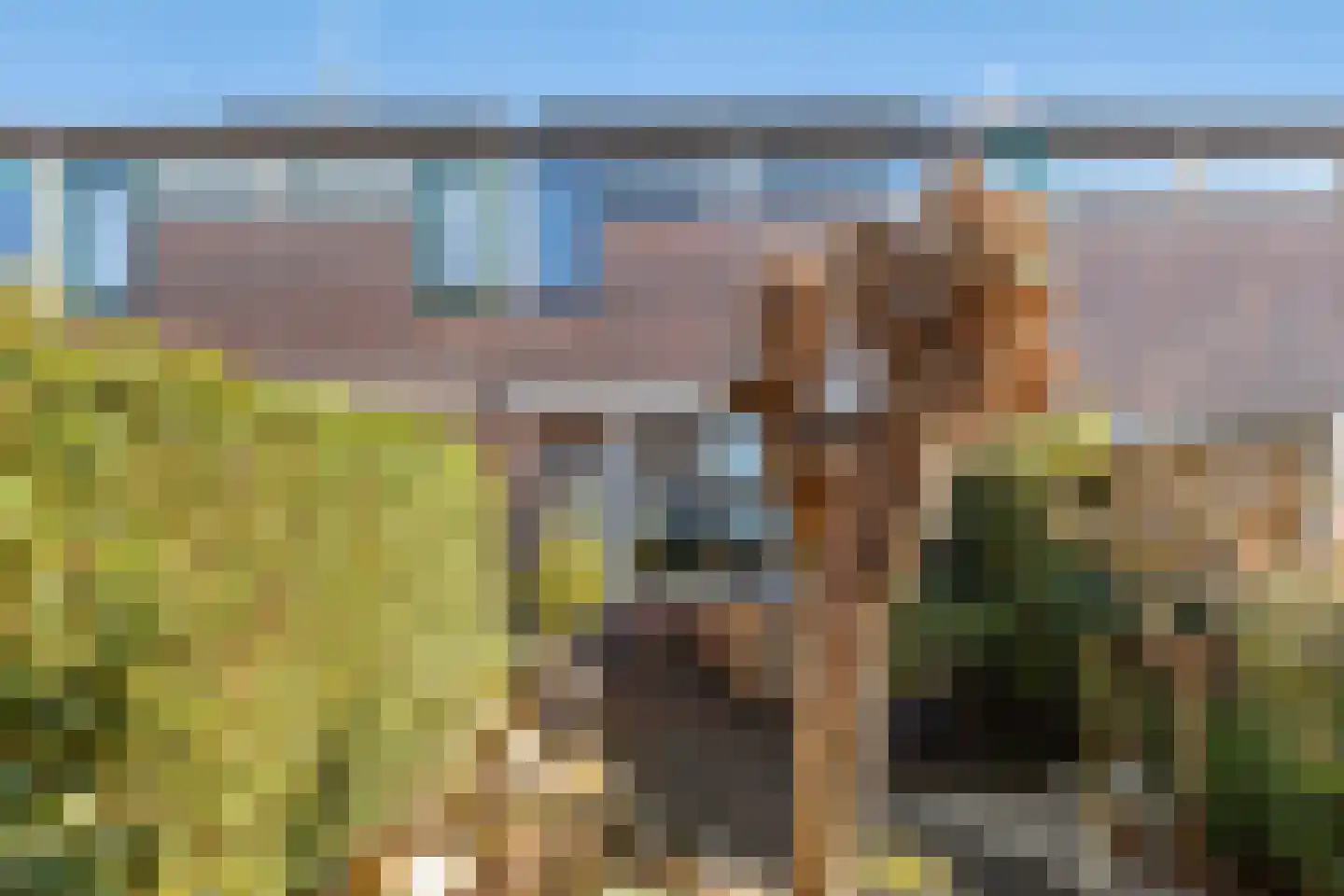 Florenweer 5 Hardinxveld-Giessendam thumbnail 31