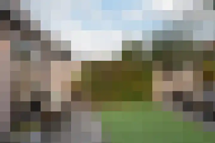 Floreslaan 130 Vlaardingen thumbnail 21