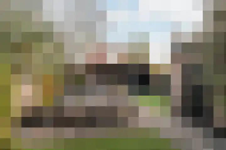 Floreslaan 130 Vlaardingen thumbnail 22