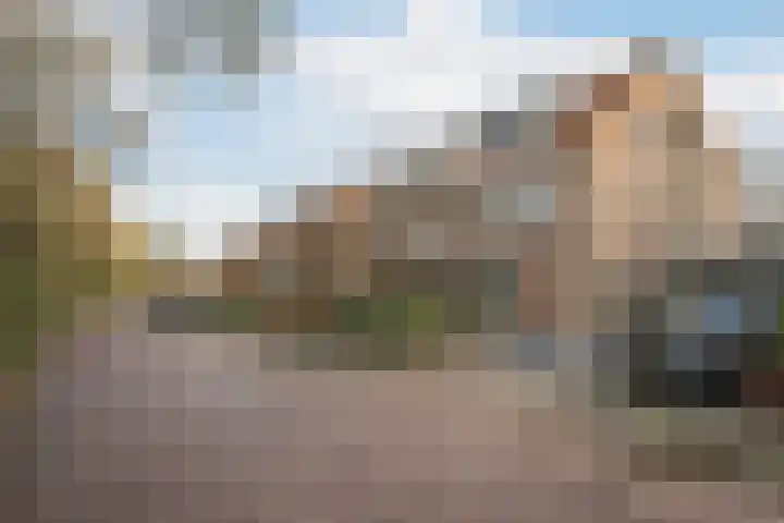 Floreslaan 130 Vlaardingen thumbnail 46