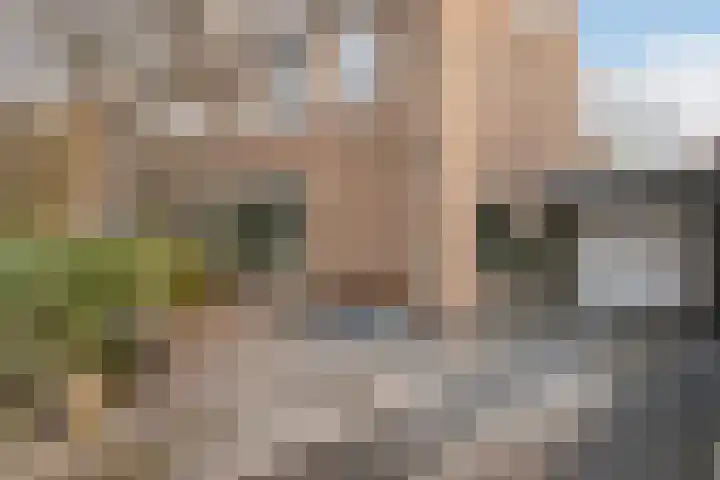 Floreslaan 130 Vlaardingen thumbnail 7