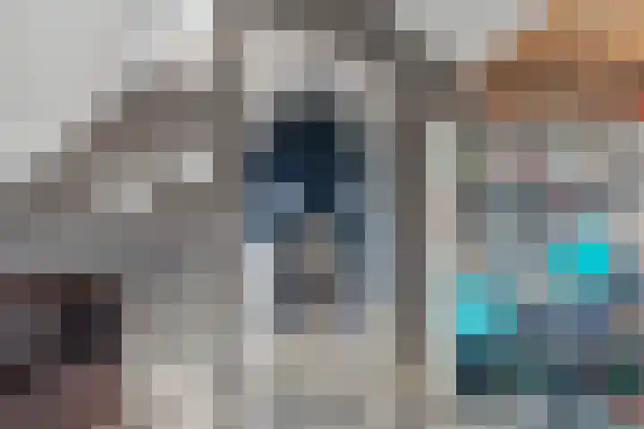 Floreslaan 152 Vlaardingen thumbnail 37
