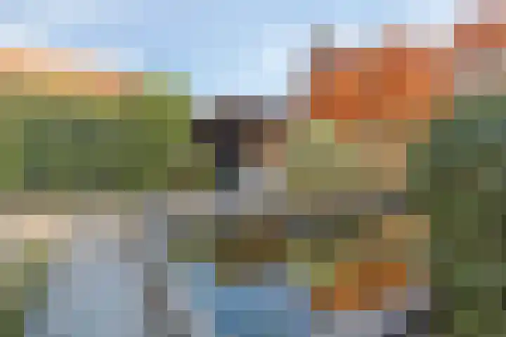 Floreslaan 152 Vlaardingen thumbnail 40