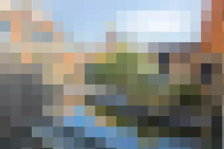Floreslaan 152 Vlaardingen thumbnail 44