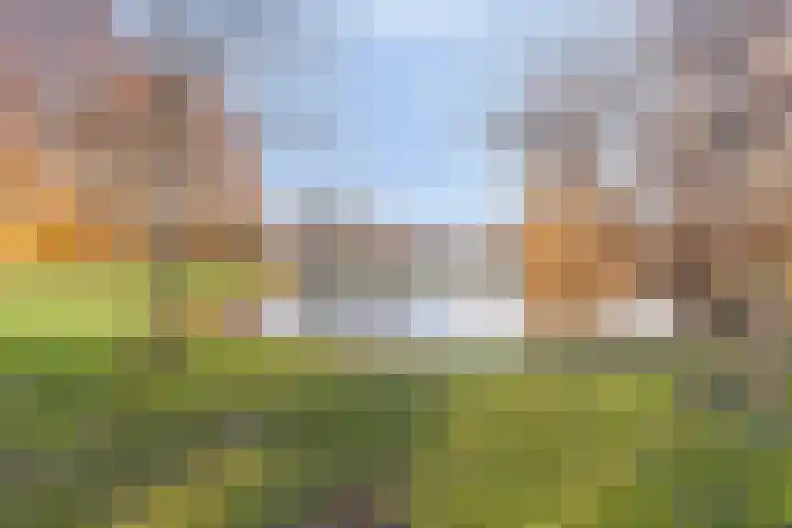 Floreslaan 152 Vlaardingen thumbnail 47