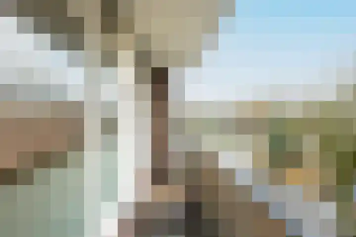 Floreslaan 22 Ede thumbnail 16