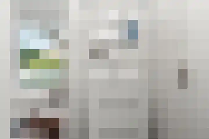 Floreslaan 26 Ede thumbnail 15