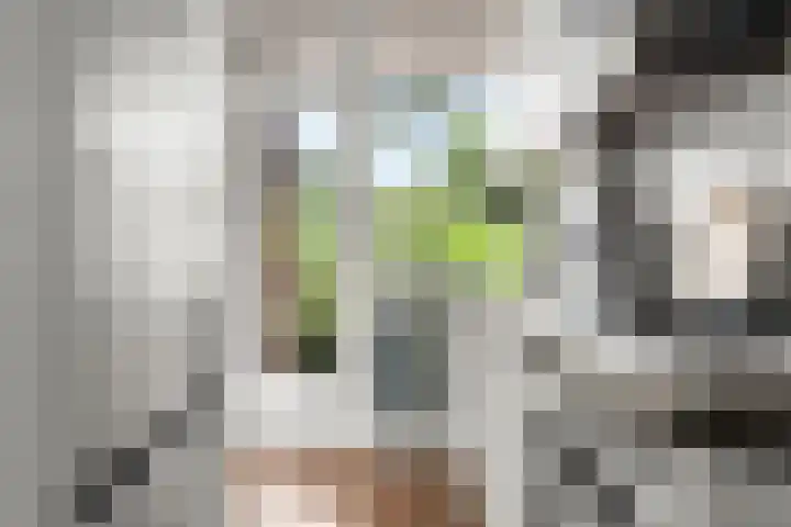 Floreslaan 26 Ede thumbnail 19