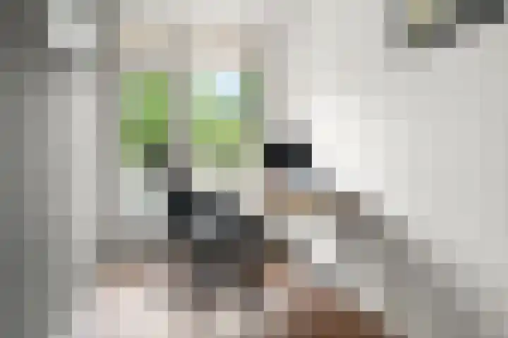 Floreslaan 26 Ede thumbnail 22