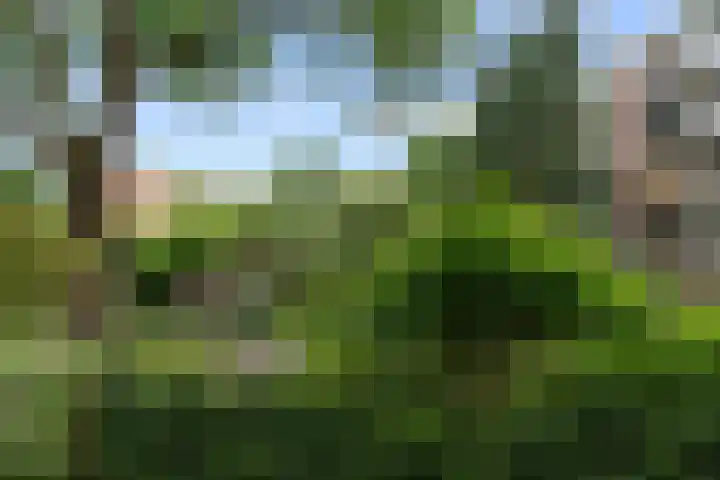 Floreslaan 26 Ede thumbnail 24