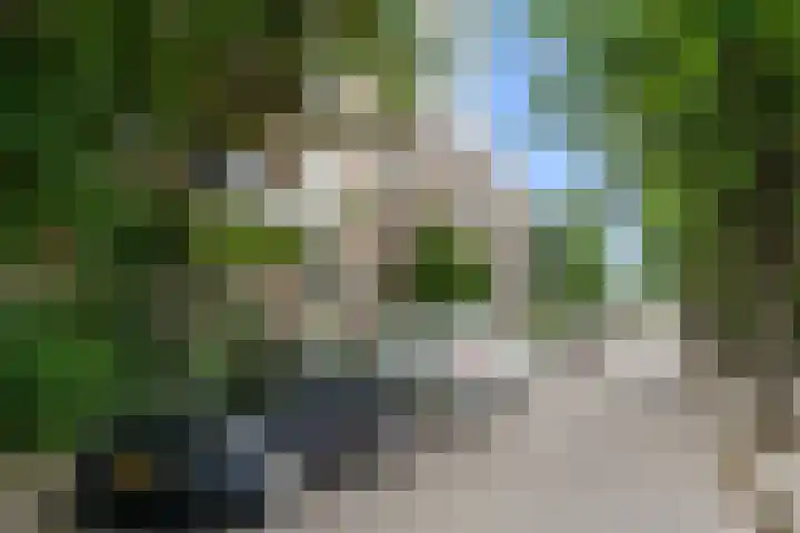 Floreslaan 26 Ede thumbnail 32