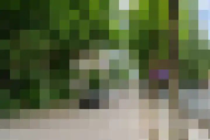 Floreslaan 26 Ede thumbnail 33