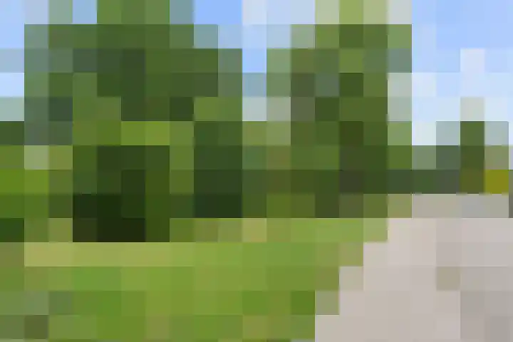 Floreslaan 26 Ede thumbnail 34