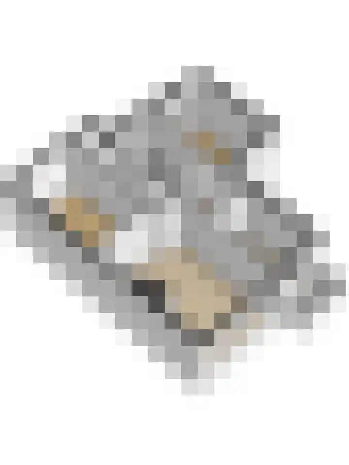 Floreslaan 26 Ede thumbnail 37