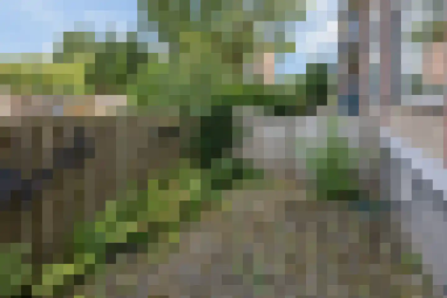 Floreslaan 50 Ede thumbnail 21